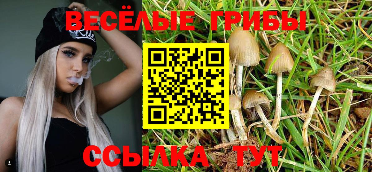 купить  цена  Галлюциногенные грибы ЛСД  Вход с VPN  Бор 
