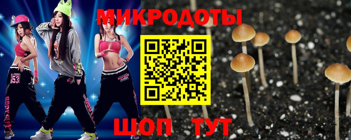 Псилоцибиновые грибы GOLDEN TEACHER Бор